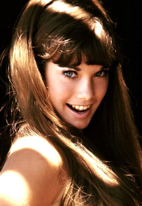 images barbi benton|30 Fabulous Photos of a Young Barbi Benton in the。